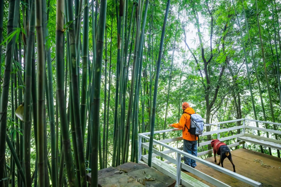 诚邀共赴！｜“崃户外”2026邛崃市全域户外徒步道发布会暨冬季户外运动旅游季倒计时一天
