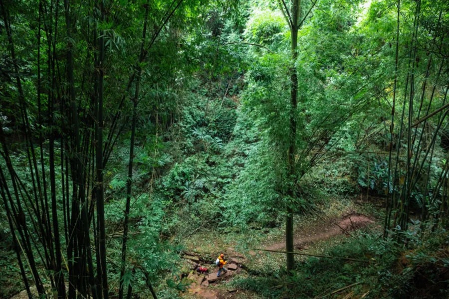 诚邀共赴！｜“崃户外”2026邛崃市全域户外徒步道发布会暨冬季户外运动旅游季倒计时一天