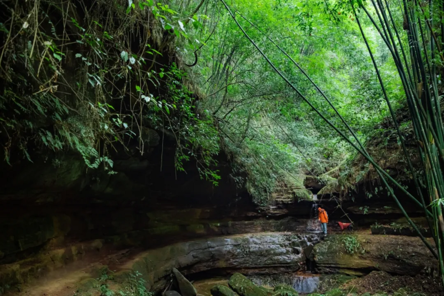 诚邀共赴！｜“崃户外”2026邛崃市全域户外徒步道发布会暨冬季户外运动旅游季倒计时一天