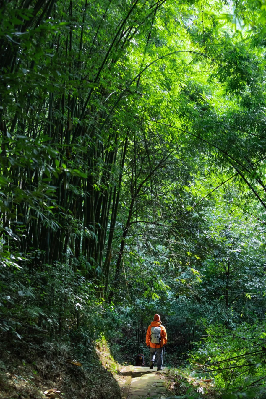 诚邀共赴！｜“崃户外”2026邛崃市全域户外徒步道发布会暨冬季户外运动旅游季倒计时一天