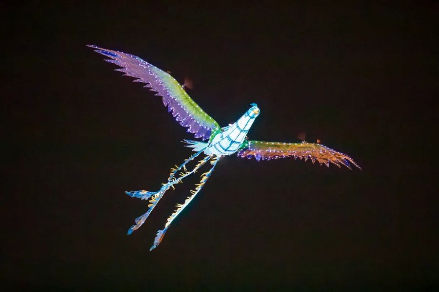 1115181eff247d79bea9c3e2613c5221