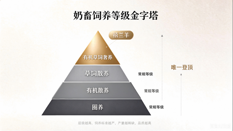 奶畜饲养等级金字塔_分图层_2